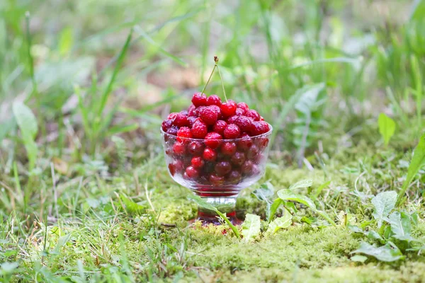 Fresh Ripe Sweet Wet Cherries Transparent Vase Green Grass Rain — Stock Photo, Image