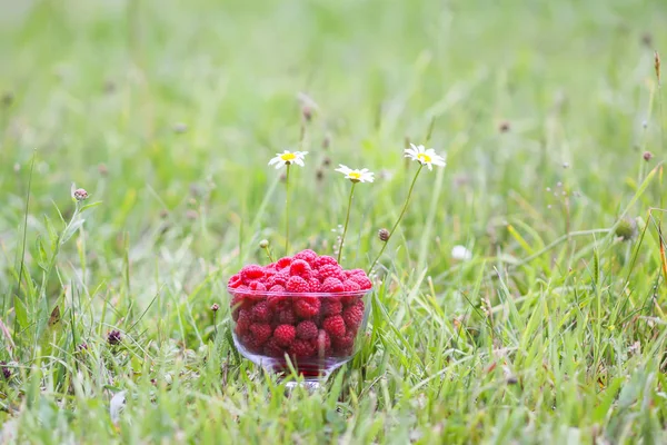 Taze olgun tatlı yaz meyveleri. Yeşil yaz çimlerinde, yağmur damlalarında şeffaf vazoda ıslak ahududu.