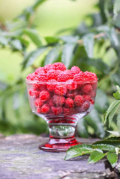Olgun tatlı yaz meyveleri. Ağaç kütüğünün üzerinde şeffaf vazoda ahududu.