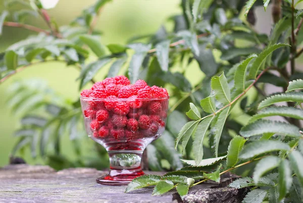 Olgun tatlı yaz meyveleri. Ağaç kütüğünün üzerinde şeffaf vazoda ahududu.