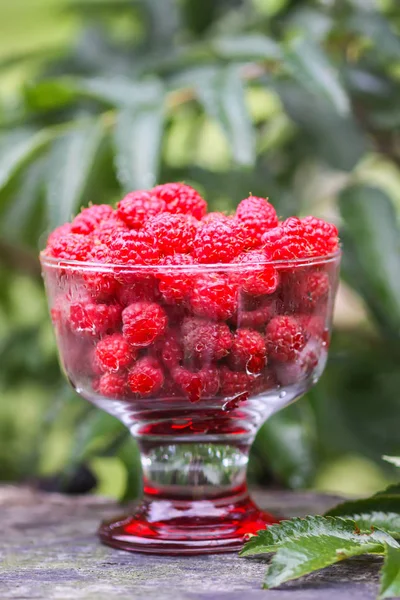 Olgun tatlı yaz meyveleri. Ağaç kütüğünün üzerinde şeffaf vazoda ahududu.