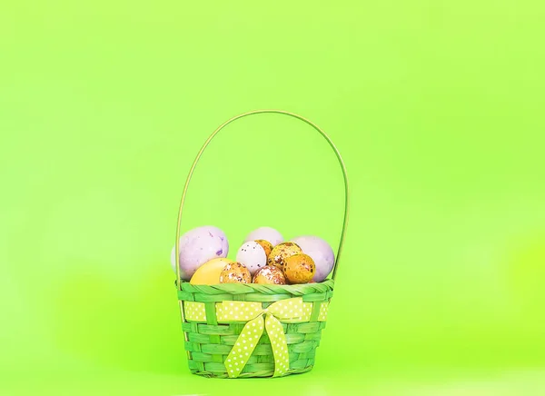 Colorful Easter eggs in a basket on soft green background — Stock Photo, Image