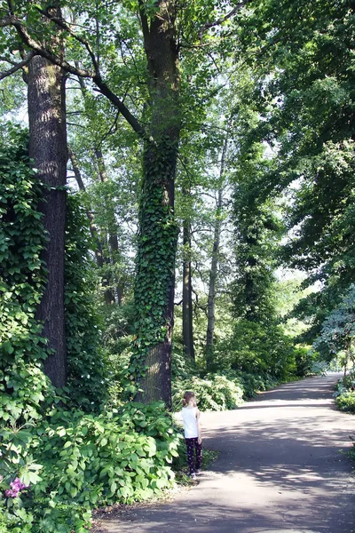 Menina Caminhando Parque Com Grandes Árvores Velhas Primavera — Fotografia de Stock