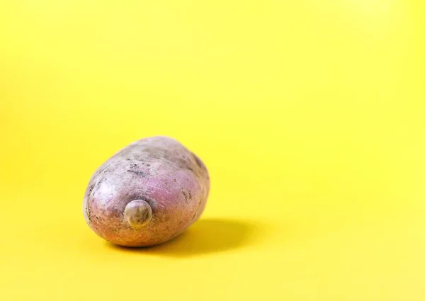 Raw potato on bright yellow background. — Stock Image Raw Potato Bright Yellow Background Stock Photo