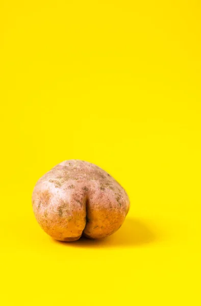 Raw funny potato in a shape of ass on bright yellow background. — Stock Image Raw Funny Potato Shape Ass Bright Yellow Background Royalty Free Stock Photos