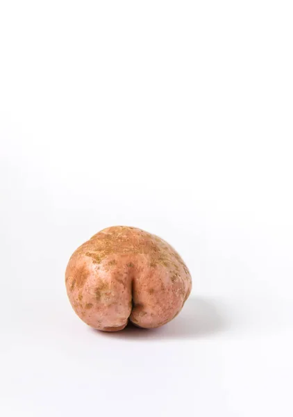 Raw funny potato in a shape of ass on white background. — Stock Image Raw Funny Potato Shape Ass White Background Stock Photo