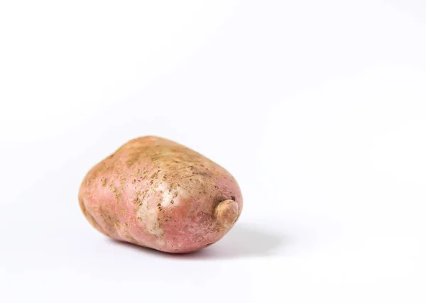 Raw potato on white background. — Stock Image Raw Potato White Background Stock Picture