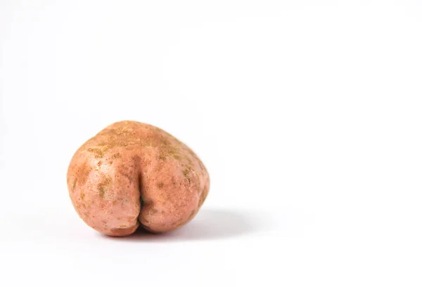 Raw funny potato in a shape of ass on white background. — Stock Image Raw Funny Potato Shape Ass White Background Royalty Free Stock Images