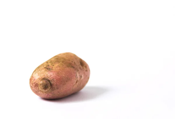 Raw potato on white background. — Stock Image Raw Potato White Background Stock Picture