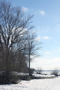 Riga, Letonya, Doğu Avrupa 'da kış manzarası