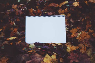 Sonbahar yapraklarını yere döken boş bir kağıt.