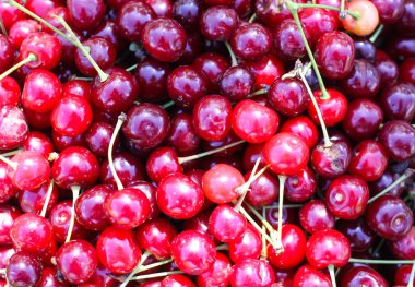 Olgun kırmızı kirazlar ve sapları yakın..