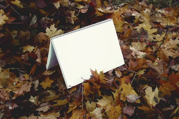 Blank paper on fall autumn leaves on the ground