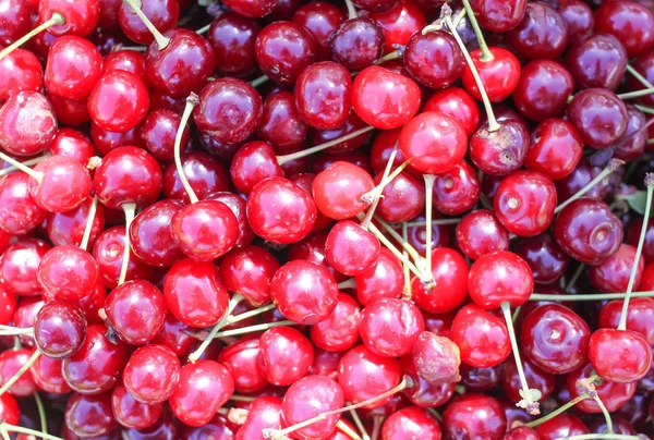 Ripe Red Sweet Cherries Stalks Close — Stock Photo, Image