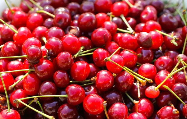 Ripe Red Sweet Cherries Stalks Close Stock Image