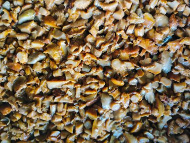 Kızartma için karışık orman mantar dilimlenmiş.