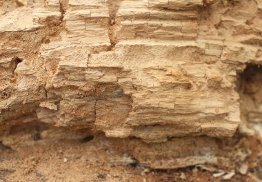 Yakacak odun arka planda. Yığınla yakacak odun.