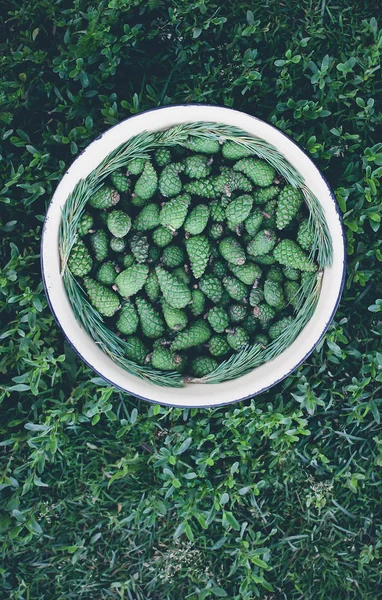 Cones Abeto Jovens Verdes Uma Grande Xícara Preparada Para Cozinhar — Fotografia de Stock
