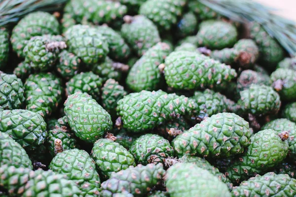 Green fir tree cones prepared for homemade syrup cooking. — Stock Photo, Image