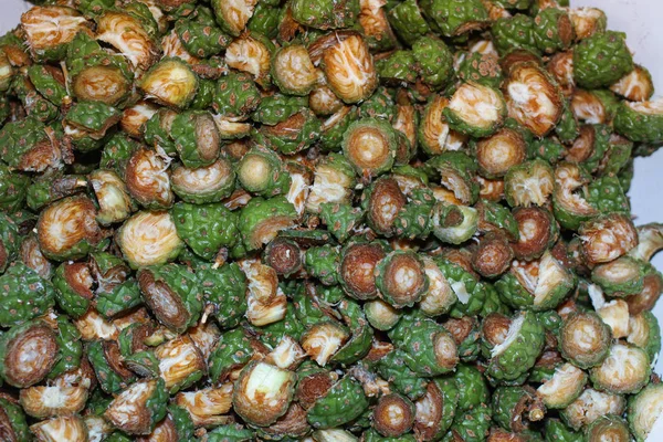 Conos de abeto verde preparados para cocinar jarabe casero . — Foto de Stock