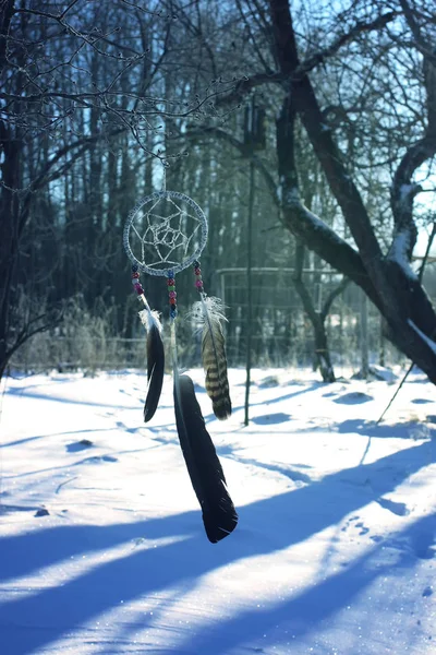 Attrape Rêves Accroché Branche Arbre Dans Parc Sur Fond Nature — Photo