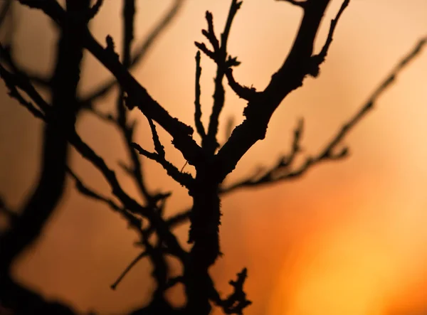 Hořící oheň venku — Stock fotografie