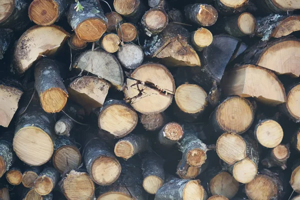 Подрібнені дрова на стосі — стокове фото