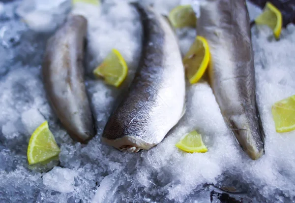 Fresh raw sea fish and lemon peces on ice surface. — Stock Photo, Image