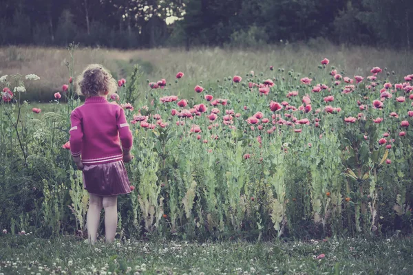 Dívka se dívá na růžové květy máku v zahradě. — Stock fotografie