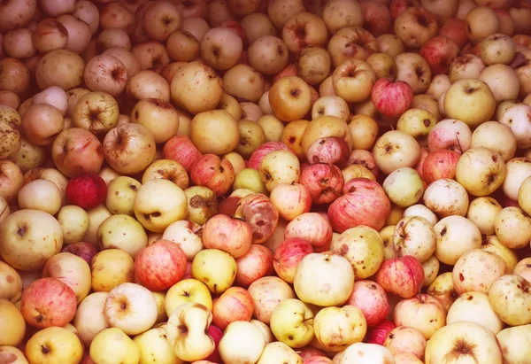 Reife Äpfel Hintergrund — Stockfoto