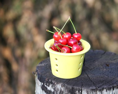 Açık havada kırmızı taze kirazlar kapanıyor.