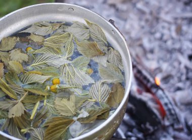 Ocaktaki eski tava bitkisel çay hazırlama sürecinde..