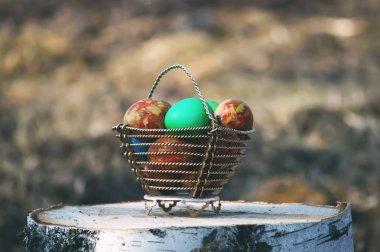 Bright colorful Easter eggs in a basket on birch tree stump