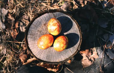 Bright colorful Easter eggs in a basket on birch tree stump