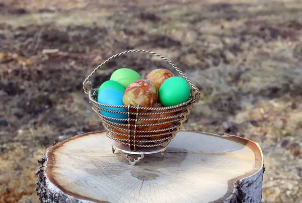 Bright Colorful Easter Eggs Basket Birch Tree Stump — Stok fotoğraf