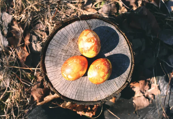 Huevos Pascua Colores Brillantes Una Cesta Tocón Abedul —  Fotos de Stock