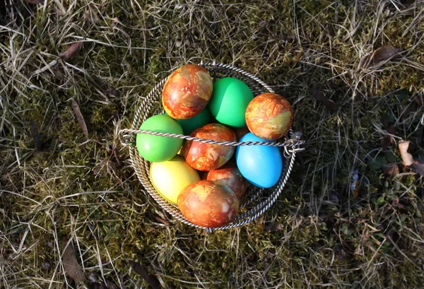 Bright Colorful Easter Eggs Basket Ground — Stock Photo, Image