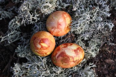 Ormandaki yosunların üzerinde renkli Paskalya yumurtaları