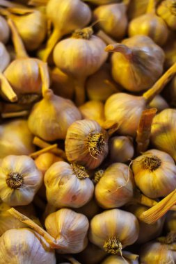 Taze sarımsak arkaplanı.