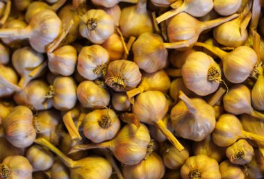 Taze sarımsak arkaplanı.