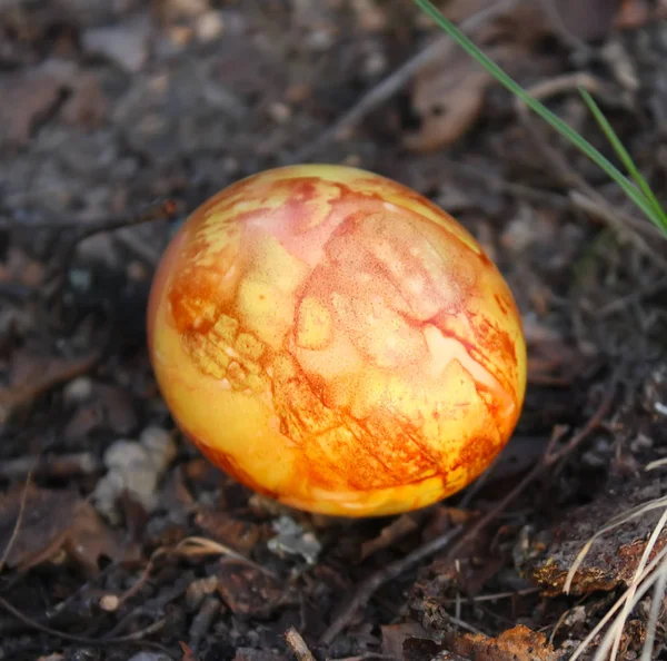 Uova Pasqua Colorate Sul Muschio Nella Foresta — Foto Stock