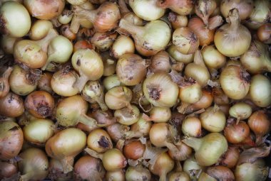 Dışarıdaki kutuda taze soğan.