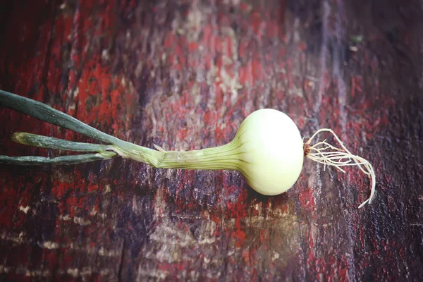 Fresh Raw Peeled Onion Wooden Table — 스톡 사진