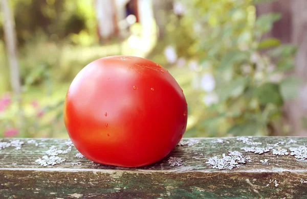 Pomodoro Rosso Maturo Fresco Tavolo Legno Sullo Sfondo Della Natura — Foto Stock