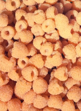 Yaz bahçesinde büyük bir fincanda olgun sarı ahududu.