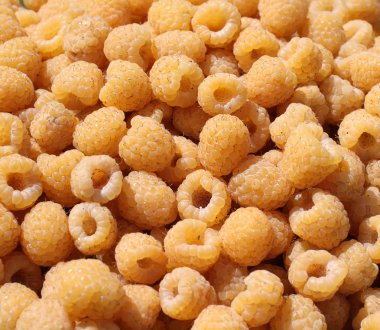 Olgun tatlı sarı ahududu 