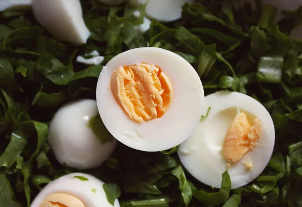 Salad with eggs and green spinach close up