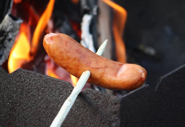 Sausages Grilling Picnic Outdoors Brazier — 스톡 사진