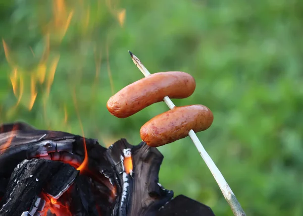 Würstchen Grillen Für Ein Picknick Freien Über Dem Kohlenbecken — Stockfoto