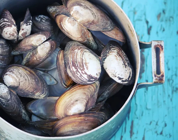 Mussels Old Pan Wooden Table Outdoors — 스톡 사진